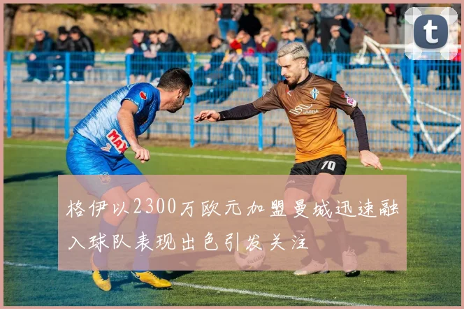 格伊以2300万欧元加盟曼城迅速融入球队表现出色引发关注