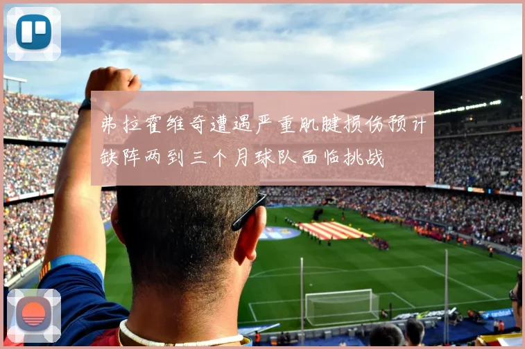 弗拉霍维奇遭遇严重肌腱损伤预计缺阵两到三个月球队面临挑战