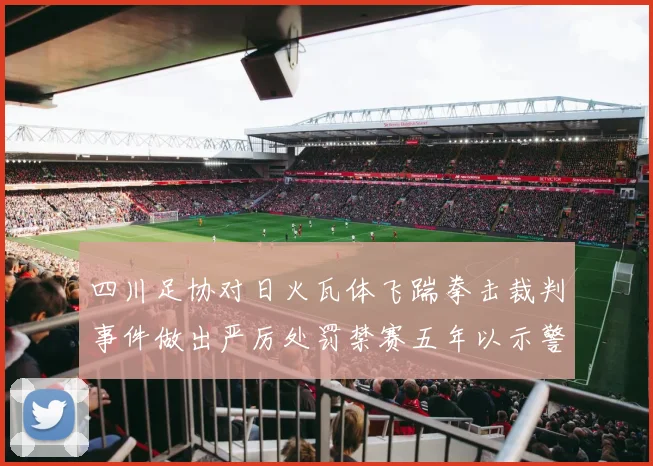 四川足协对日火瓦体飞踹拳击裁判事件做出严厉处罚禁赛五年以示警戒