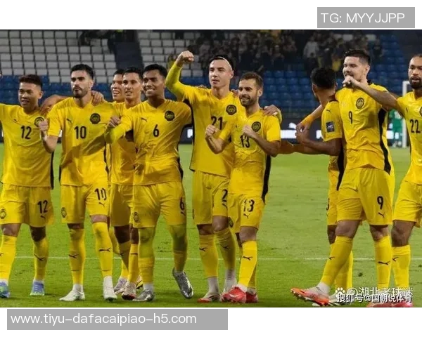 马来西亚归化球员大胜越南后FIFA接到投诉遭重罚引发热议 马来西亚归化球员大胜越南后FIFA接到投诉遭重罚引发热议